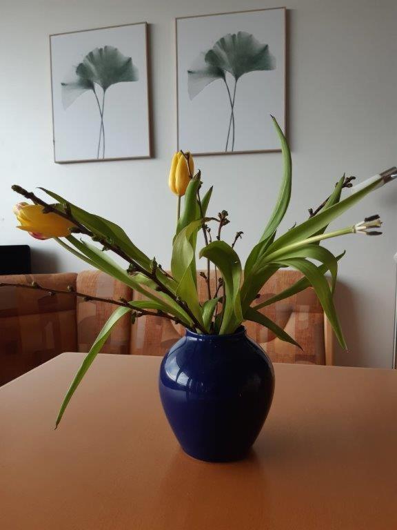 Ferienzentrum Bodensee Oberteuringen Esterno foto